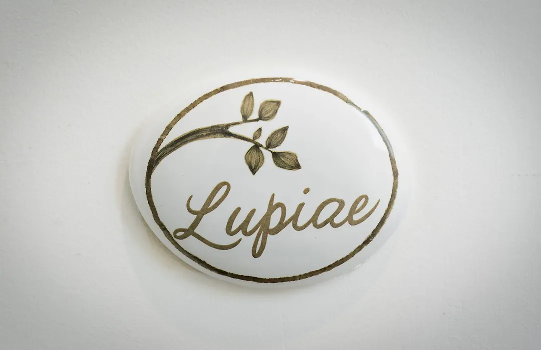 Ilice B&B-1